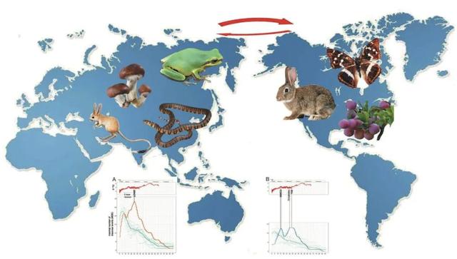 华南兔的介绍，华南兔长什么样（我才是苏州土生土长的中国野兔咂）
