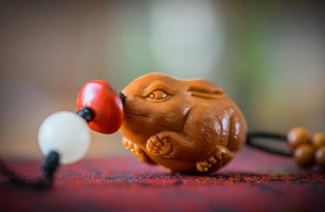 华南兔的介绍，华南兔长什么样（我才是苏州土生土长的中国野兔咂）