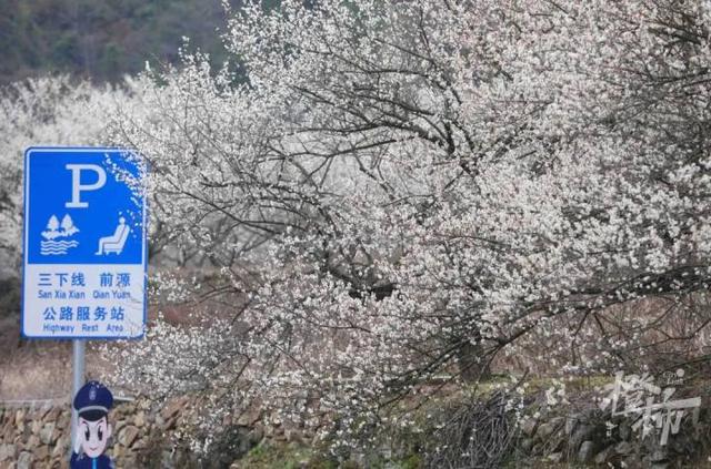 188男团小说顺序，188男团小说顺序是怎样的（强烈建议留给三都野樱花）