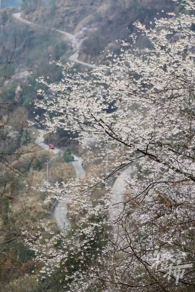 188男团小说顺序，188男团小说顺序是怎样的（强烈建议留给三都野樱花）