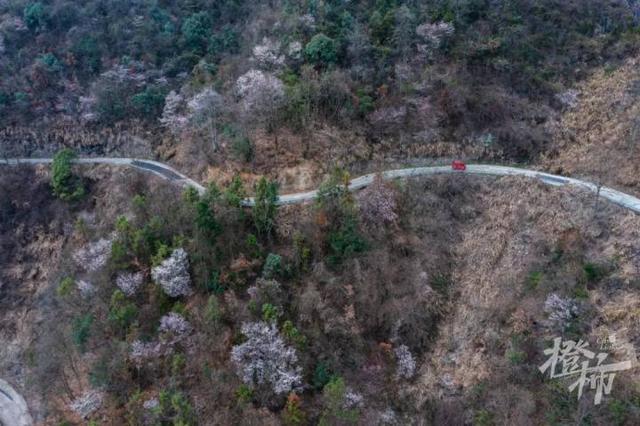 188男团小说顺序，188男团小说顺序是怎样的（强烈建议留给三都野樱花）