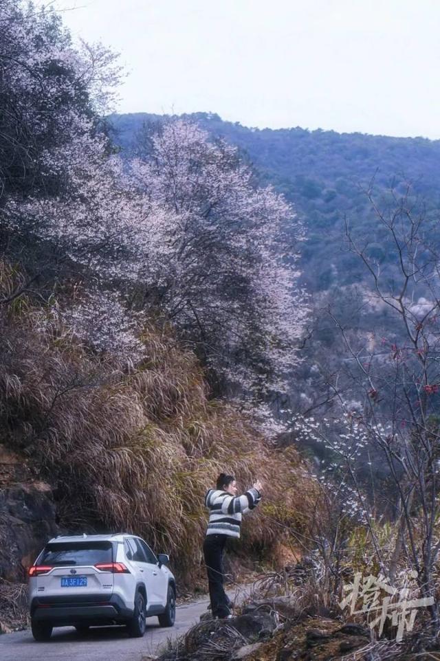 188男团小说顺序，188男团小说顺序是怎样的（强烈建议留给三都野樱花）