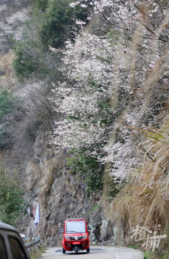 188男团小说顺序，188男团小说顺序是怎样的（强烈建议留给三都野樱花）