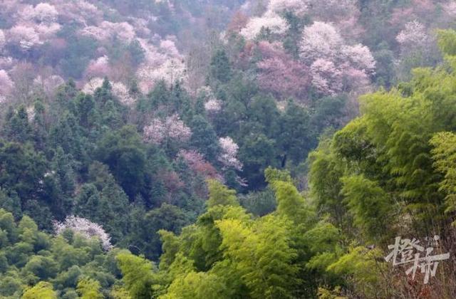 188男团小说顺序，188男团小说顺序是怎样的（强烈建议留给三都野樱花）