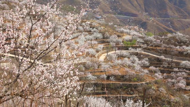 门头沟旅游景点大全，门头沟旅游攻略及景点介绍（门头沟16家景区游玩、服务电话全攻略）