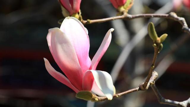 门头沟旅游景点大全，门头沟旅游攻略及景点介绍（门头沟16家景区游玩、服务电话全攻略）