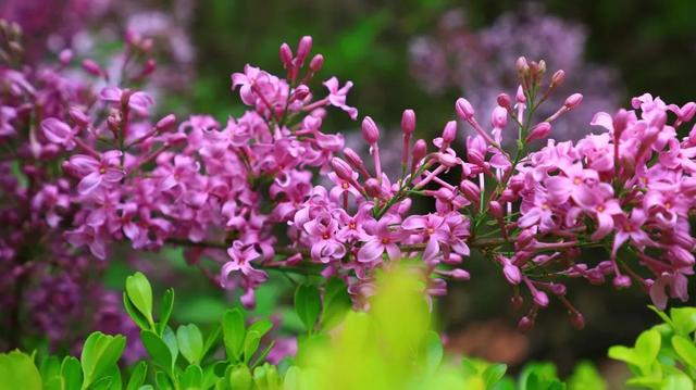 门头沟旅游景点大全，门头沟旅游攻略及景点介绍（门头沟16家景区游玩、服务电话全攻略）