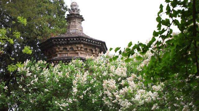 门头沟旅游景点大全，门头沟旅游攻略及景点介绍（门头沟16家景区游玩、服务电话全攻略）
