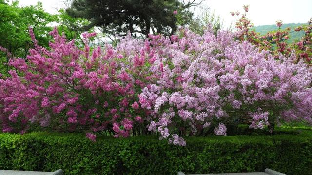 门头沟旅游景点大全，门头沟旅游攻略及景点介绍（门头沟16家景区游玩、服务电话全攻略）