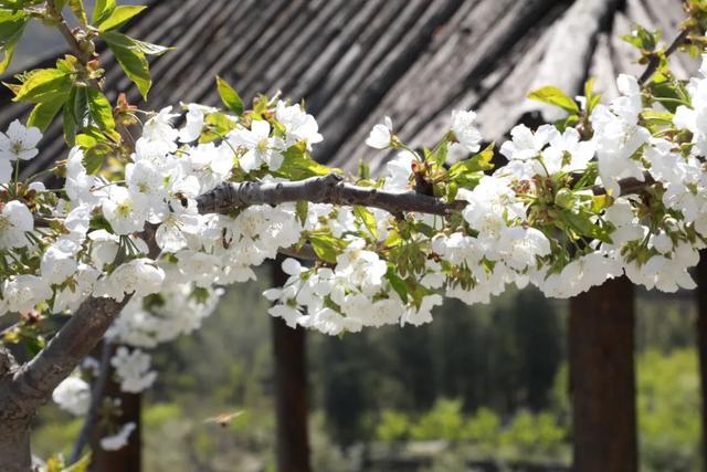 门头沟旅游景点大全，门头沟旅游攻略及景点介绍（门头沟16家景区游玩、服务电话全攻略）
