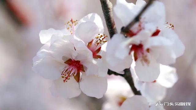门头沟旅游景点大全，门头沟旅游攻略及景点介绍（门头沟16家景区游玩、服务电话全攻略）