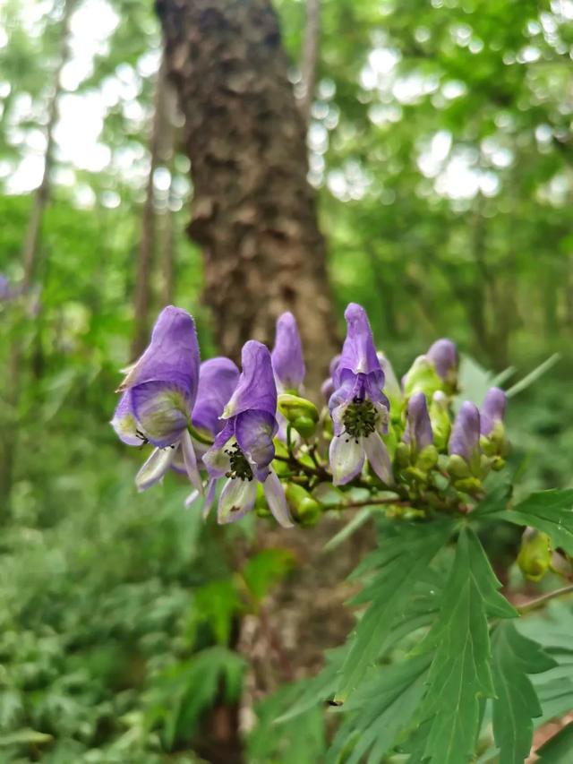 门头沟旅游景点大全，门头沟旅游攻略及景点介绍（门头沟16家景区游玩、服务电话全攻略）