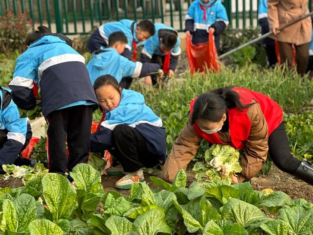 学习雷锋纪念日，学雷锋纪念日是哪天（让雷锋精神在新时代绽放更加璀璨的光芒——全国各地第60个学雷锋纪念日活动综述）