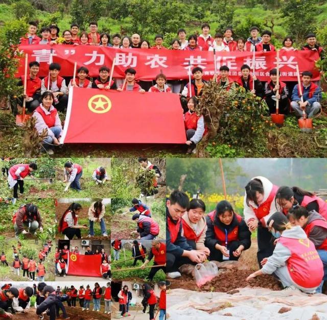 国家励志奖学金榜样的力量，高校学子：“为人民服务