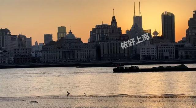 上海外滩夜景图片，上海外滩哪个位置能拍到最美夜景（上海这里的外滩景色绝了）