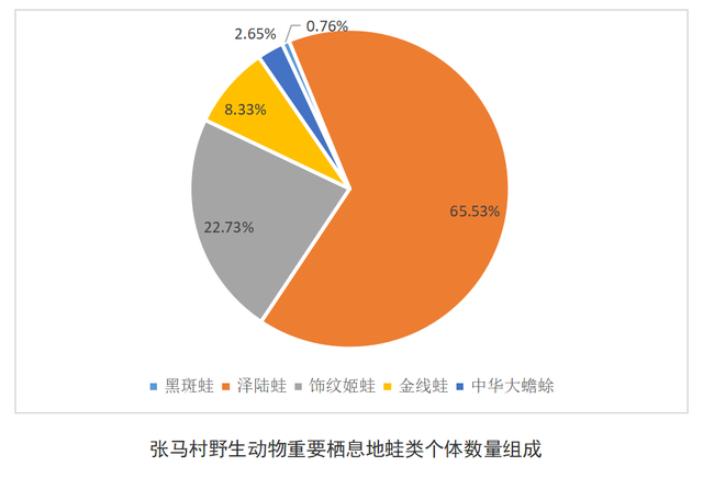 蛙的种类，蛙的种类和名称（“呱声一片”正消逝）