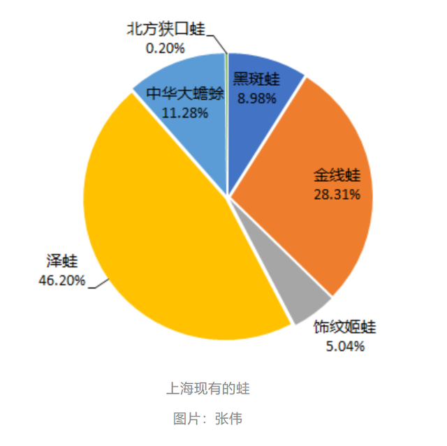 蛙的种类，蛙的种类和名称（“呱声一片”正消逝）