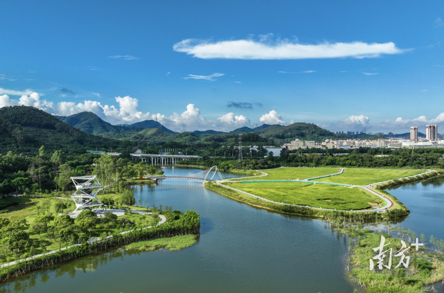 黄牛埔森林公园，黄江黄牛埔森林公园夜景（藏在森林公园里的美术馆）