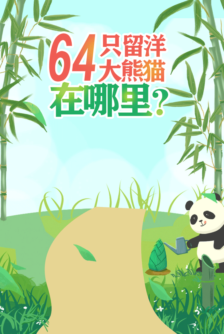 野生的熊猫能活多少岁，认养一只大熊猫，要多少钱