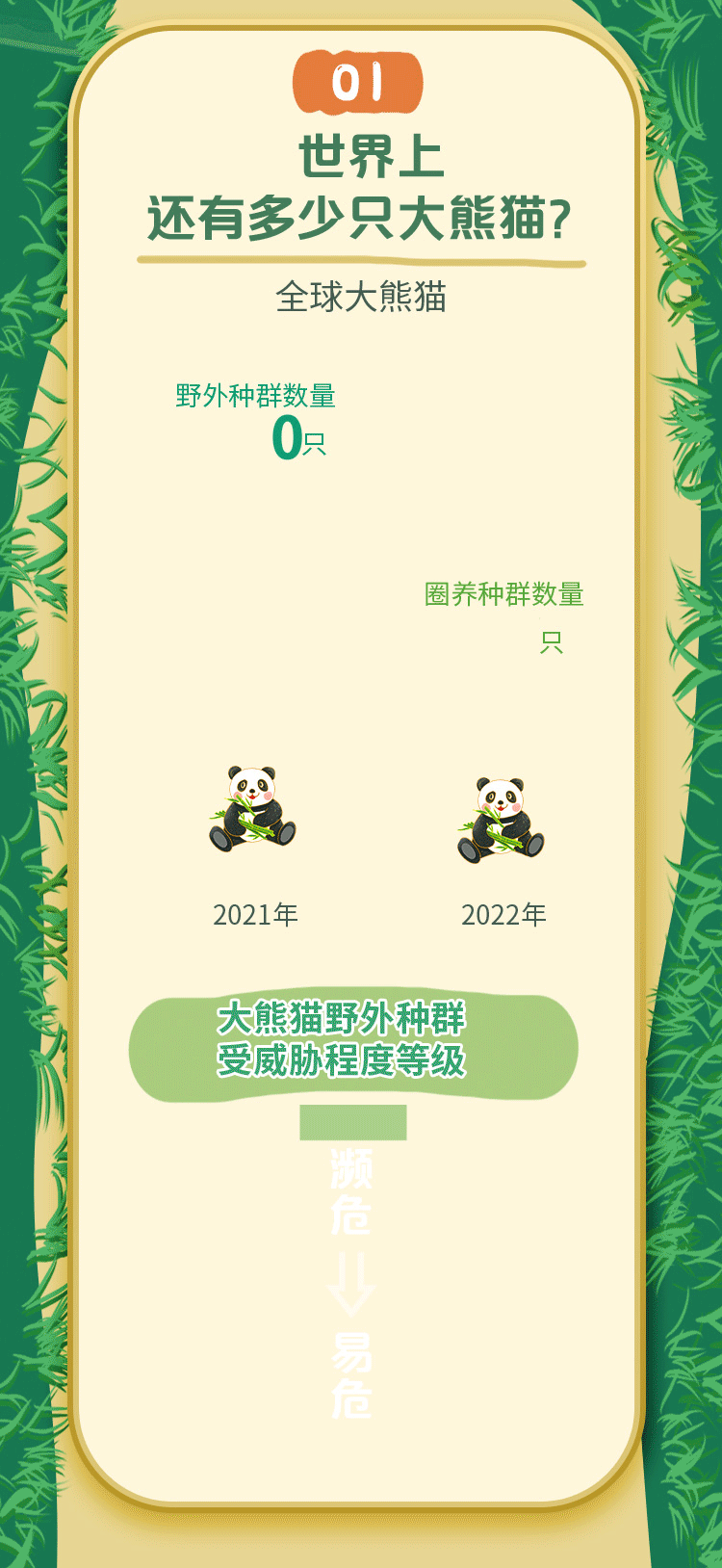 野生的熊猫能活多少岁，认养一只大熊猫，要多少钱