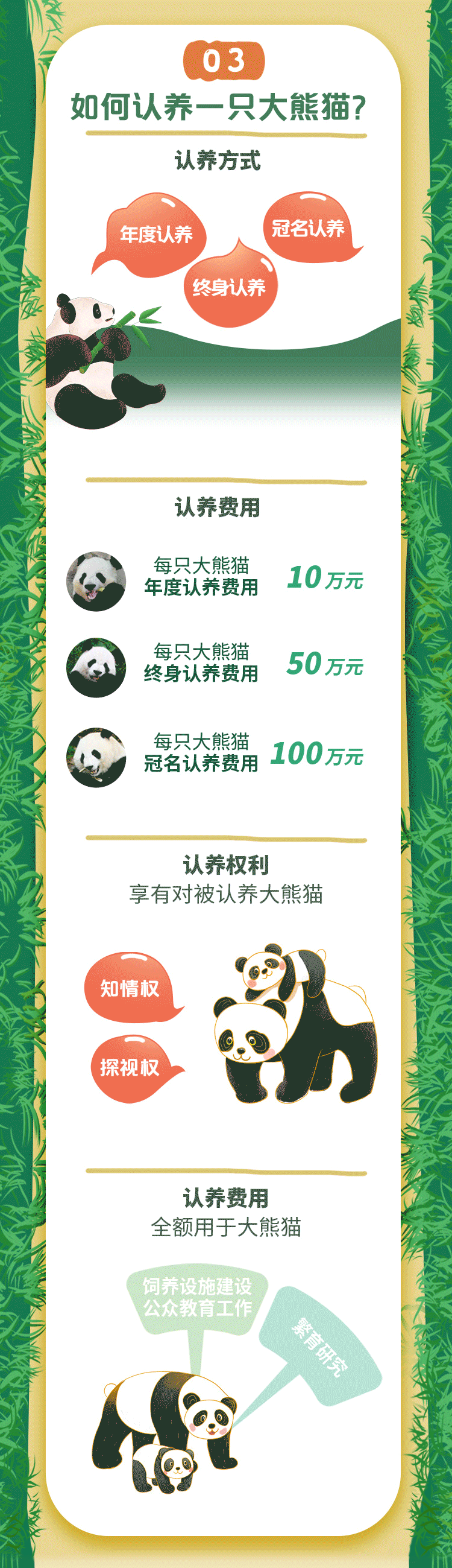 野生的熊猫能活多少岁，认养一只大熊猫，要多少钱