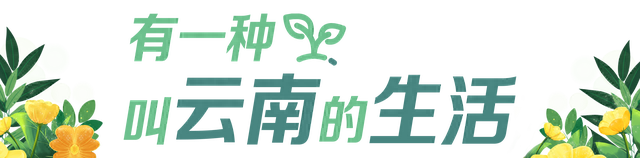 来我的家乡玩一天｜大理沙溪，有风的地方！