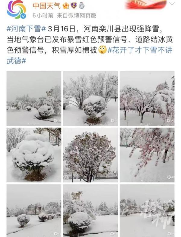 河南出现打雷下雪，桃花雪、雷打雪……河南多地发布暴雪红色预警