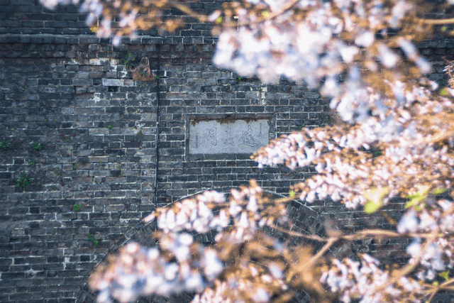 荆州旅游景点大全，荆州旅游景点大全和地理位置（带你解锁春日限定美景）