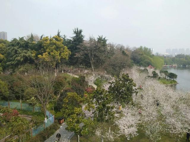 荆州旅游景点大全，荆州旅游景点大全和地理位置（带你解锁春日限定美景）