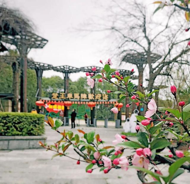 荆州旅游景点大全，荆州旅游景点大全和地理位置（带你解锁春日限定美景）