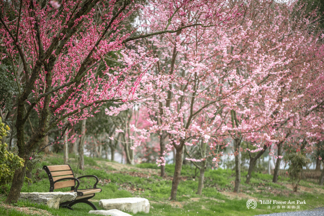 荆州旅游景点大全，荆州旅游景点大全和地理位置（带你解锁春日限定美景）
