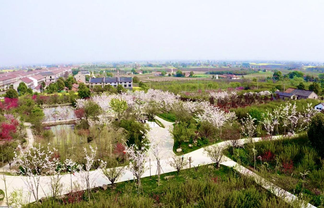 荆州旅游景点大全，荆州旅游景点大全和地理位置（带你解锁春日限定美景）