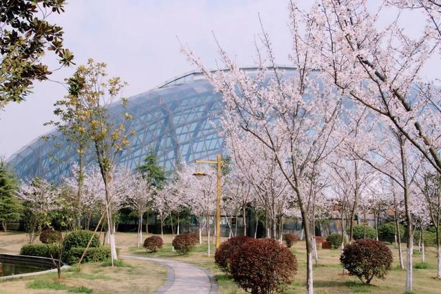 荆州旅游景点大全，荆州旅游景点大全和地理位置（带你解锁春日限定美景）