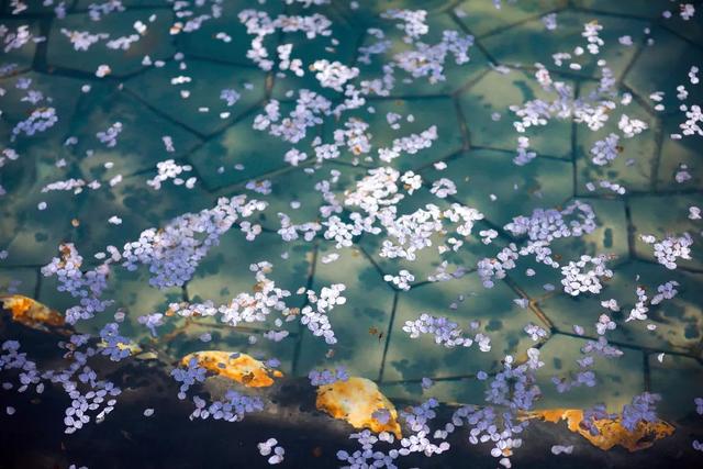 荆州旅游景点大全，荆州旅游景点大全和地理位置（带你解锁春日限定美景）