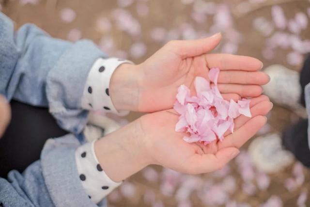 荆州旅游景点大全，荆州旅游景点大全和地理位置（带你解锁春日限定美景）