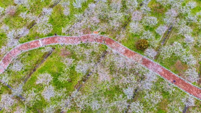 荆州旅游景点大全，荆州旅游景点大全和地理位置（带你解锁春日限定美景）