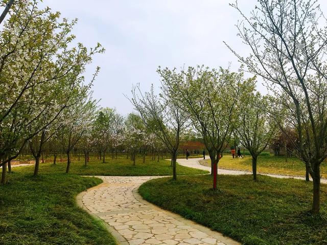 荆州旅游景点大全，荆州旅游景点大全和地理位置（带你解锁春日限定美景）