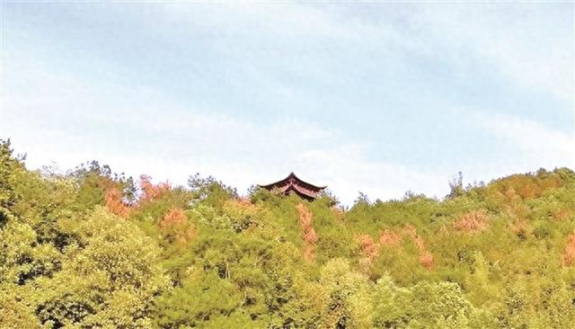 知乎者也丨林思翔：二月二上天马山