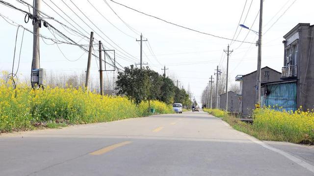 交通建设提速助力高质量发展，洪湖市交通运输局多举措助推交通运输事业高质量发展