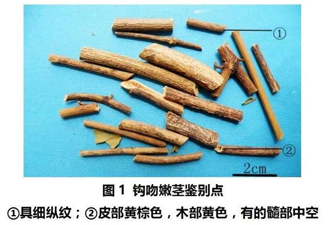 突发公共卫生事件，突发公共卫生事件定义（广东突发1起食物中毒事件）