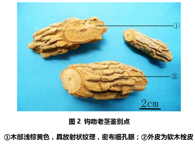 突发公共卫生事件，突发公共卫生事件定义（广东突发1起食物中毒事件）