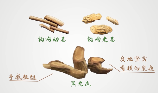 突发公共卫生事件，突发公共卫生事件定义（广东突发1起食物中毒事件）