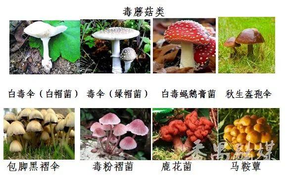 突发公共卫生事件，突发公共卫生事件定义（广东突发1起食物中毒事件）