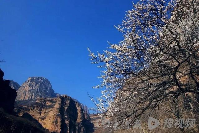 河南省林州市旅游景点介绍，河南林州：春日里的太行大峡谷