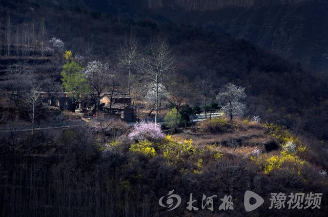 河南省林州市旅游景点介绍，河南林州：春日里的太行大峡谷