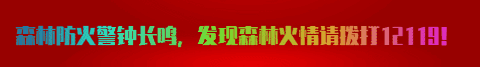 在上方山，触摸生根北京千年的生命之灵