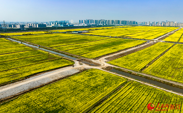 前湾新区最新消息，虹桥前湾新区最新规划消息（宁波前湾新区：民生工程）