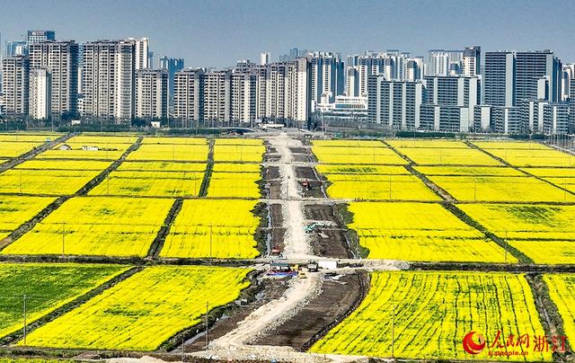 前湾新区最新消息，虹桥前湾新区最新规划消息（宁波前湾新区：民生工程）