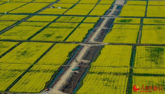 前湾新区最新消息，虹桥前湾新区最新规划消息（宁波前湾新区：民生工程）