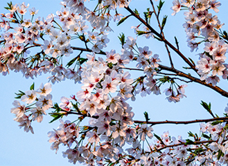 明天气温多少度，明后天气温要多少度（未来几天气温波动明显）